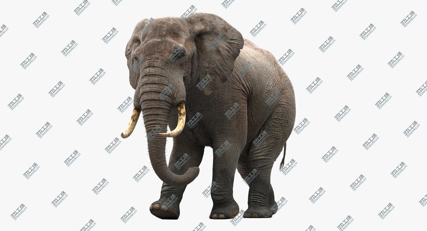 images/goods_img/20210113/Elephant Animated/2.jpg